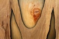 Interesting abstract wood