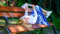 Interesting book. Smart and pretty. Smart lady relaxing. Girl lay bench park relaxing with book, green nature background Royalty Free Stock Photo