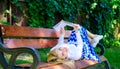 Interesting book. Smart and pretty. Smart lady relaxing. Girl reading outdoors while relaxing on bench. Girl lay bench Royalty Free Stock Photo