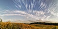 Interesting cloudy sky and a field Royalty Free Stock Photo