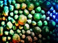 Interesting colorful unusual bulby balls surface background Royalty Free Stock Photo