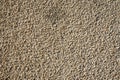 Fragment of a outdoor coating made of grey scabrous sand, closeup. Abstract grainy textured background. Royalty Free Stock Photo