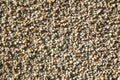 Fragment of a outdoor coating made of grey scabrous sand, closeup. Abstract grainy textured background. Royalty Free Stock Photo