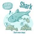 Interesting facts about sharks. Did you know