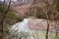 Khosta river in Yew-boxwood grove in spring in Sochi city, Russia