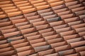Interesting original background from brown clay roof tiles