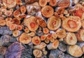 Closeup of a log pile of cut up branches.