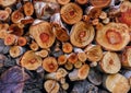 Closeup of a log pile of cut up branches.