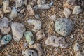 Unique Rocks on the Beach