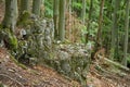 Rock in the L shape in the forest, Slovakia Royalty Free Stock Photo