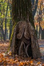 An Interesting Tree Trunk Structure is Being Revealed by the Missing Bark