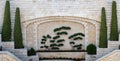 Interesting trees and flowers in one of the stairwells at the top of the Bahai Gardens in Haifa. Royalty Free Stock Photo