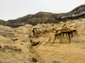 An interesting and unique view of the hoodoos outside of Drumheller, Alberta, Canada. Royalty Free Stock Photo