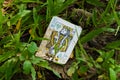An interesting view of a dirty, old and discarded playing card, king of hearts, found in the grass in a garden park.