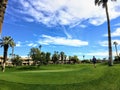 An interesting view of a golfer walking towards the green surrounded by very tall palm trees in the background on the desert