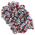 Interferon beta molecule