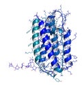 Interferon beta molecule, chemical structure. Cytokine used to t