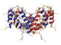 Interferon gamma (IFNg) cytokine molecule, chemical structure. Recombinant form used in treatment of osteopetrosis and chronic