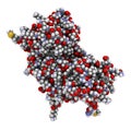 Interferon gamma (IFNg) cytokine molecule, chemical structure. Recombinant form used in treatment of osteopetrosis and chronic