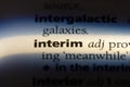 interim