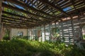 Interior of abandoned rural house