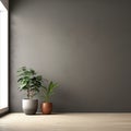 Interior background of empty room with dark gray stucco wall with copy space and pot with plant 3d rendering