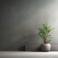 Interior background of empty room with dark gray stucco wall with copy space and pot with plant 3d rendering