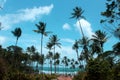 Interior of Bahia - ItacarÃÂ© Royalty Free Stock Photo