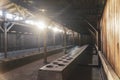 Interior of barrack in Auschwitz Birkenau concentration camp, Poland