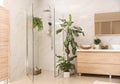 Interior of bathroom with green plants Royalty Free Stock Photo