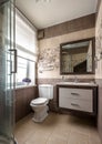 Interior of bathroom in hotel or residential house. Interior design of restroom with brown tiles