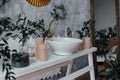 Interior of bathroom with mirror on a white bricky wall, stylish furniture, trendy wash basin and green plants