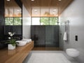 Interior of bathroom with wooden ceiling