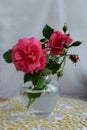 Interior. Beautiful bouquet of pink roses in a glass vase on a light background Royalty Free Stock Photo