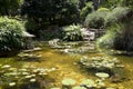 Interior of botanical garden in Austin