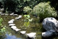 Interior of botanical garden in city Austin