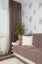Interior with brown sofa Royalty Free Stock Photo