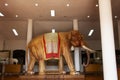 Interior building of Elephants museum and Taxidermy animal for thai people travelers travel visit Ban Ta Klang or Taklang Elephant