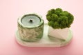 Interior candle in plaster candlestick and green plant on pink background