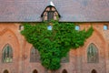 Interior castle courtyard Malbork. The Castle of the Teutonic Order in Malbork by the Nogat river. Poland. Brickwork with greenery Royalty Free Stock Photo