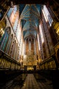 Interior Ceiling of St. Mary's Basilica, a Brick Gothic church adjacent to the Main Market Square in Krakow Royalty Free Stock Photo