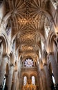 Interior of Christ Church, Oxford Royalty Free Stock Photo