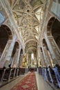 Interior of Church in Opatow Royalty Free Stock Photo