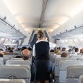 Interior of commercial airplane with stewardess serving passengers on seats during flight. Royalty Free Stock Photo