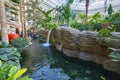 Interior Courtyard, Garden at Gaylord Palms Resorts Hotel in Kissimmee