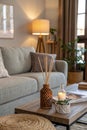 Interior of cozy living room with grey sofa and reed diffuser on coffee table Royalty Free Stock Photo