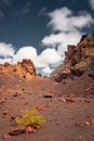 Interior of the crater of El Cuervo Volcano in Lanzarote,  Canary Islands, Spain Royalty Free Stock Photo