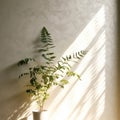 Interior decoration,Green tree in vase with sunlight shadows on the wall,Generative, AI, Illustration Royalty Free Stock Photo