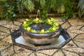 Interior and decoration of typical andalusian patio