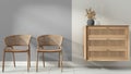 Interior design background in white and gray tones. Living, sitting and waiting room with rattan armchairs and wooden sideboard